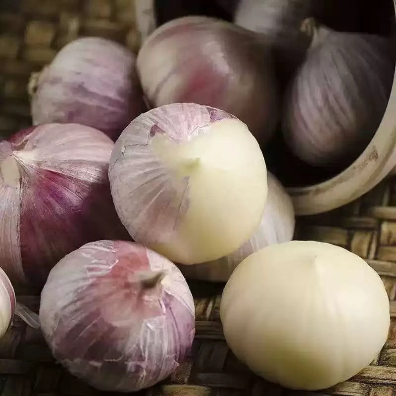 White Solo Garlic