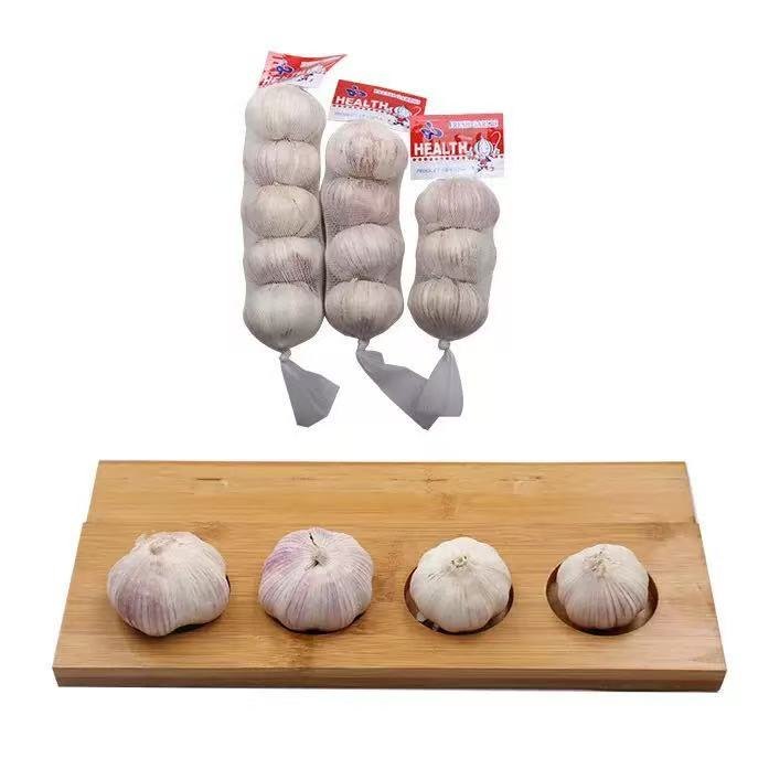 Solo Garlic